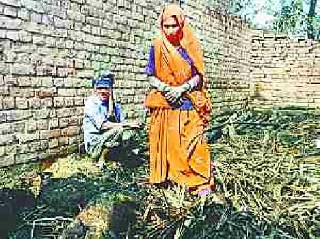 Three cattle burnt alive in the fire